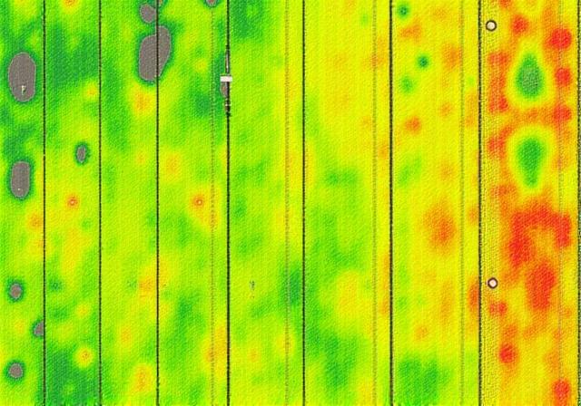 Fargekodet kart over et jorde som viser variasjoner i avlingshelse.